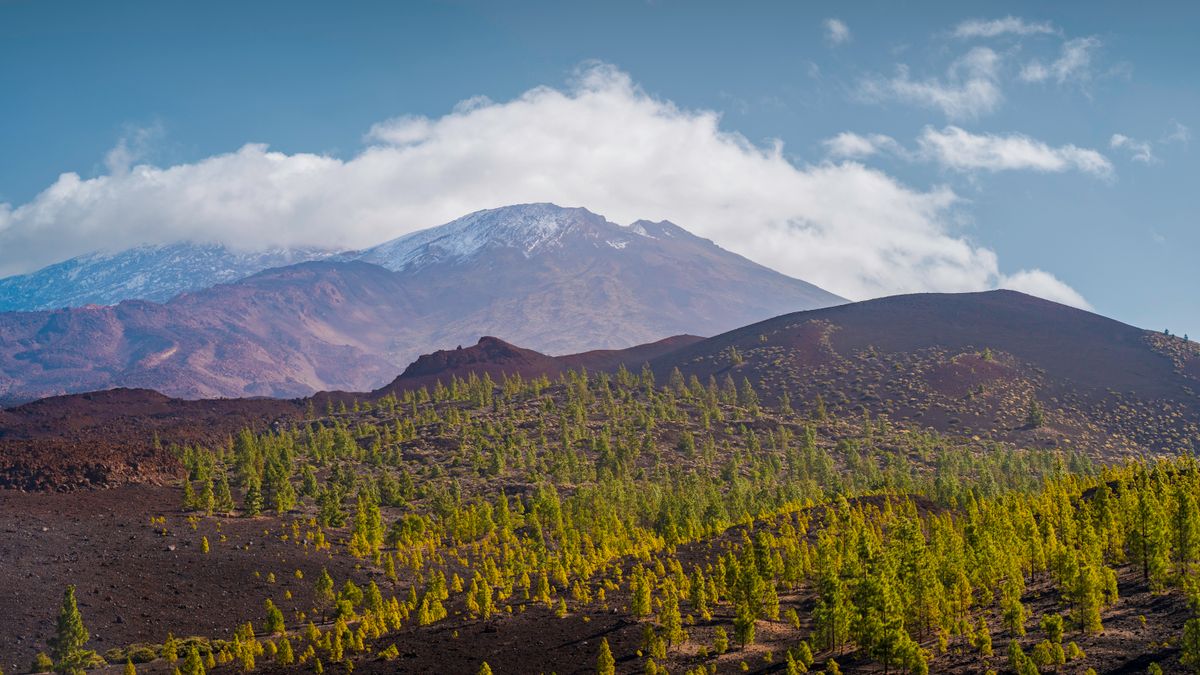 Paisaje volcánico del Parque Nacional del Teide
